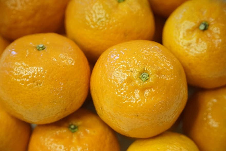 mandarijnen, sinaasappels, citrus-, vers, rijp, vers fruit, citrus vruchten, verse sinaasappelen, rijp fruit, Rijpe Sinaasappels, produceren