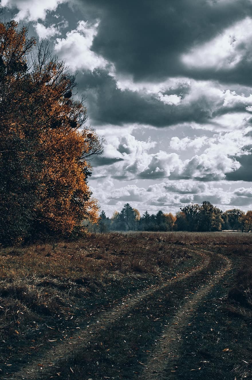 есен, облачен, път, пейзаж, черен път