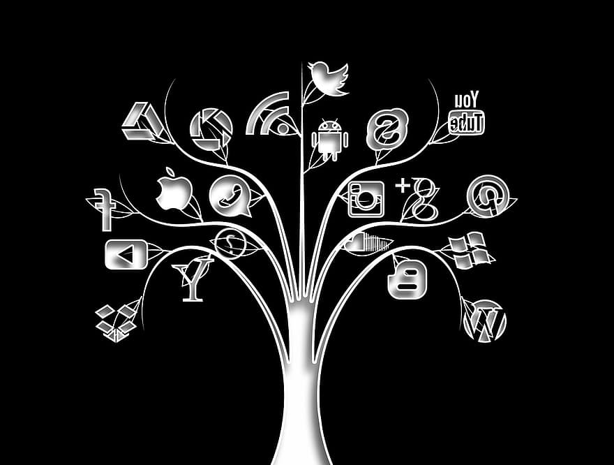 mídia social, árvore, estrutura, redes, Internet, social, rede social, logotipo, networking, ícone, local na rede Internet