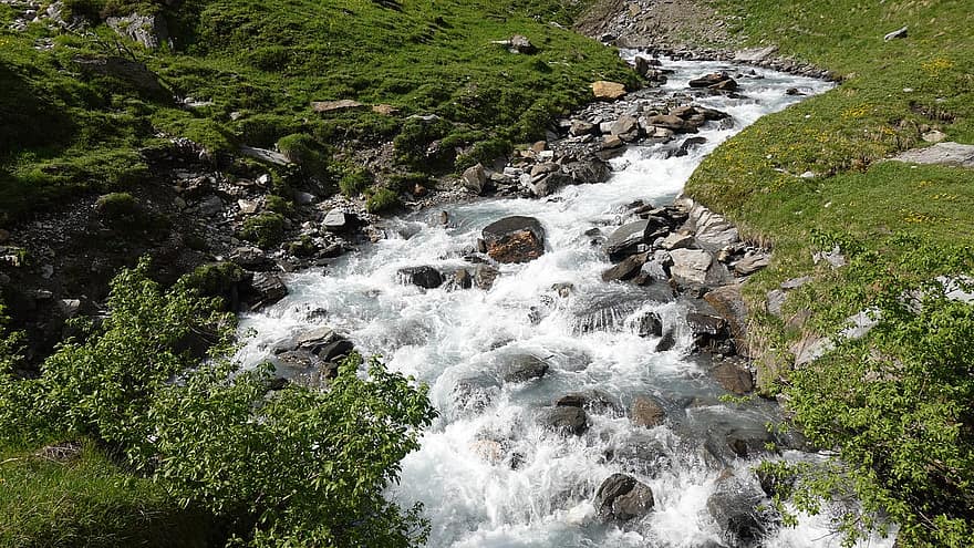 Stream, Rocks, Flow, River, Water, Nature, Grass, Pasture, Landscape, Spring, Rural