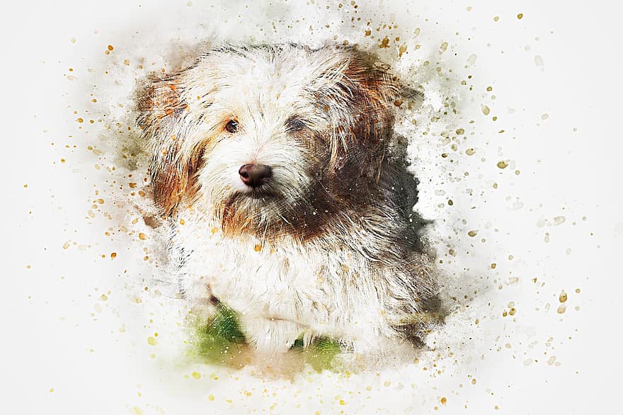 šuo, gyvūnas, naminių gyvūnėlių, menas, santrauka, akvarelė, derliaus, spalvinga, šuniukas, marškinėliai, meninis