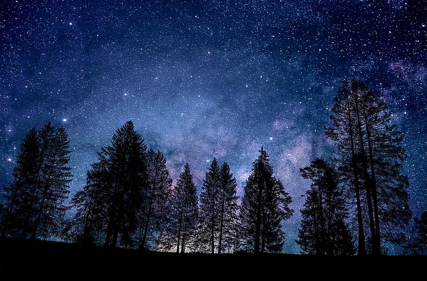 fák, ég, éjszaka, csillagok, természet, tájkép, erdő, kék ég, kék erdő, kék táj, kék csillag