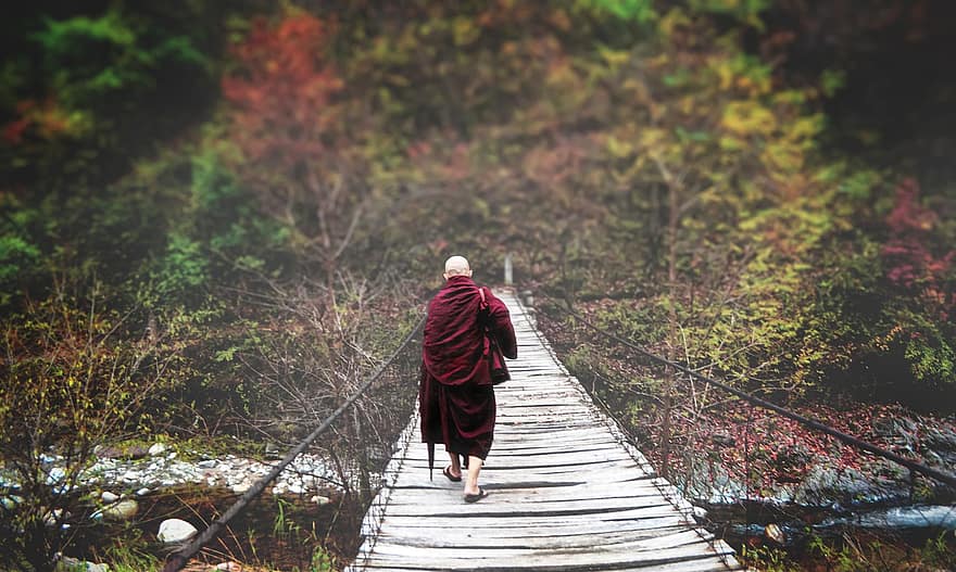monje, budista, bhikkhu, viaje, al aire libre, naturaleza