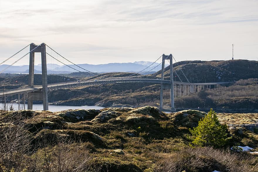 Nærøysund橋、つり橋、ノルウェー、ブリッジ