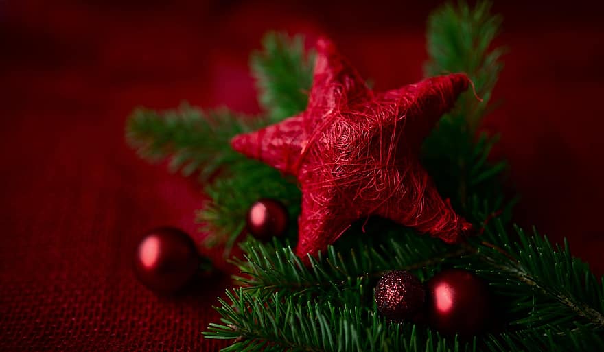 stea, Crăciun, decor, temă, sezon, celebrare, fundaluri, a închide, copac, iarnă, cadou
