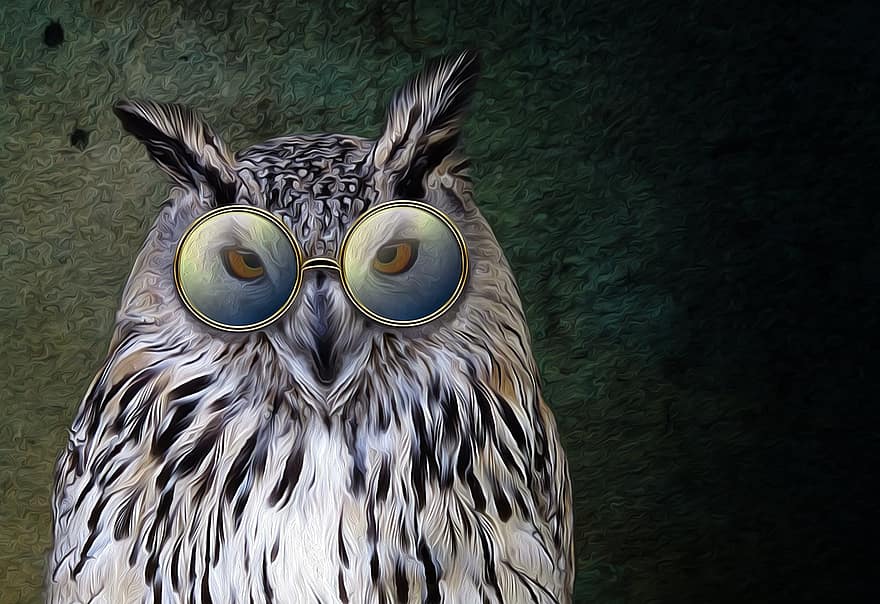 Owl, Glasses, Feather, Wisdom, Bird