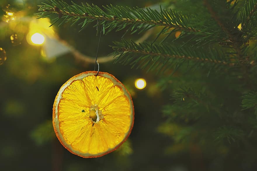 Organické vánoční dekorace, Ručně vyráběná vánoční výzdoba, vánoční výzdoba, sušený pomeranč, detail, dekorace, ovoce, strom, pozadí, zimní, sezóna