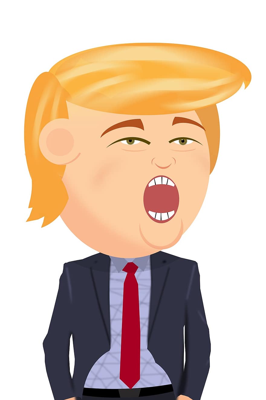He, Trump, Donald Trump, Caricature, The President, Draw, Cartoon, America, The American, Uses, The United