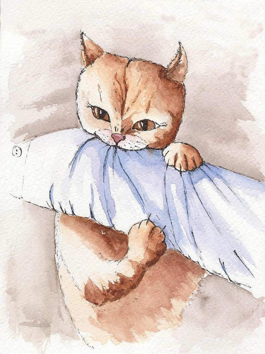 Cat, Bedtime, Pet, Feline, Animal, Kitten, pets, domestic cat, cute, illustration, drawing