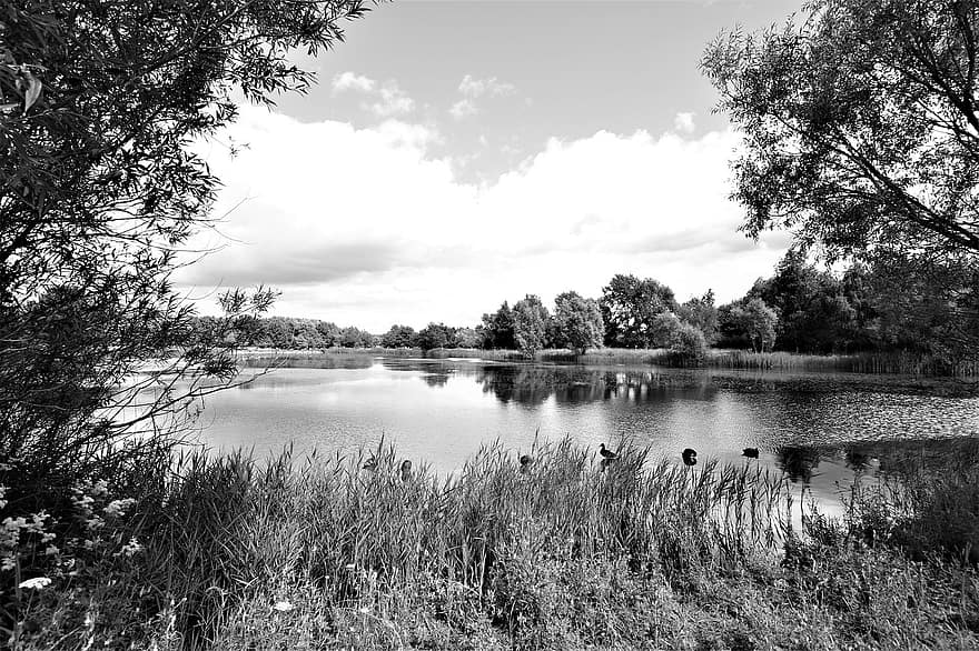 panorama, lago, natureza, agua, floresta, cenário, cênico, arvores, calma, reflexão, Inglaterra