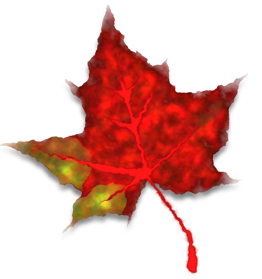 sarkans, lapas, kritums, rudenī, kritums lapas, krāsošana, rudens mežs