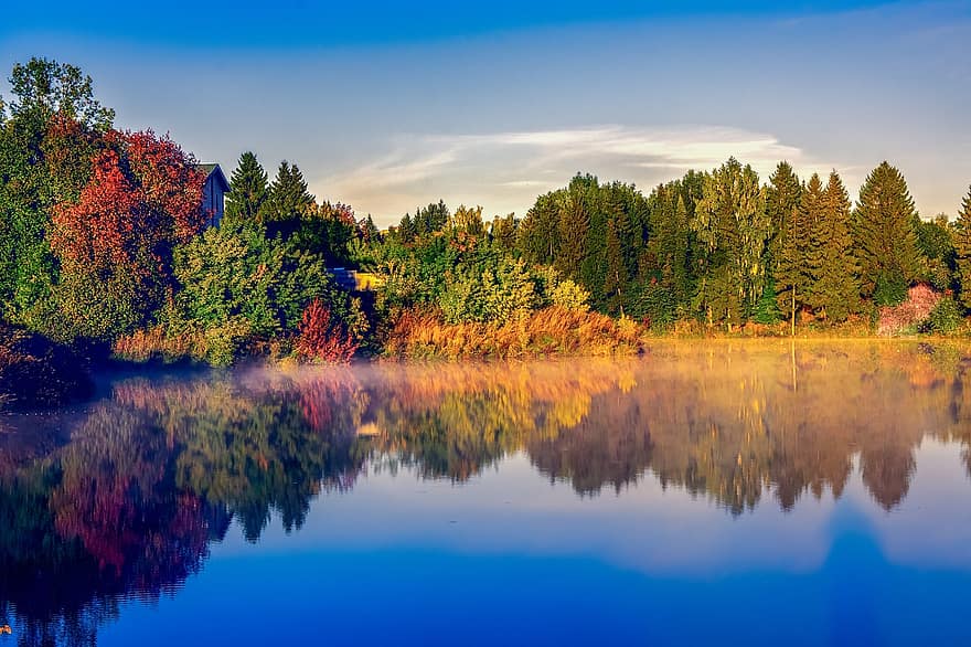 lac, copaci, reflecţie, apă, cer, ceaţă, dimineaţă, râu, molid, bancă, pădure