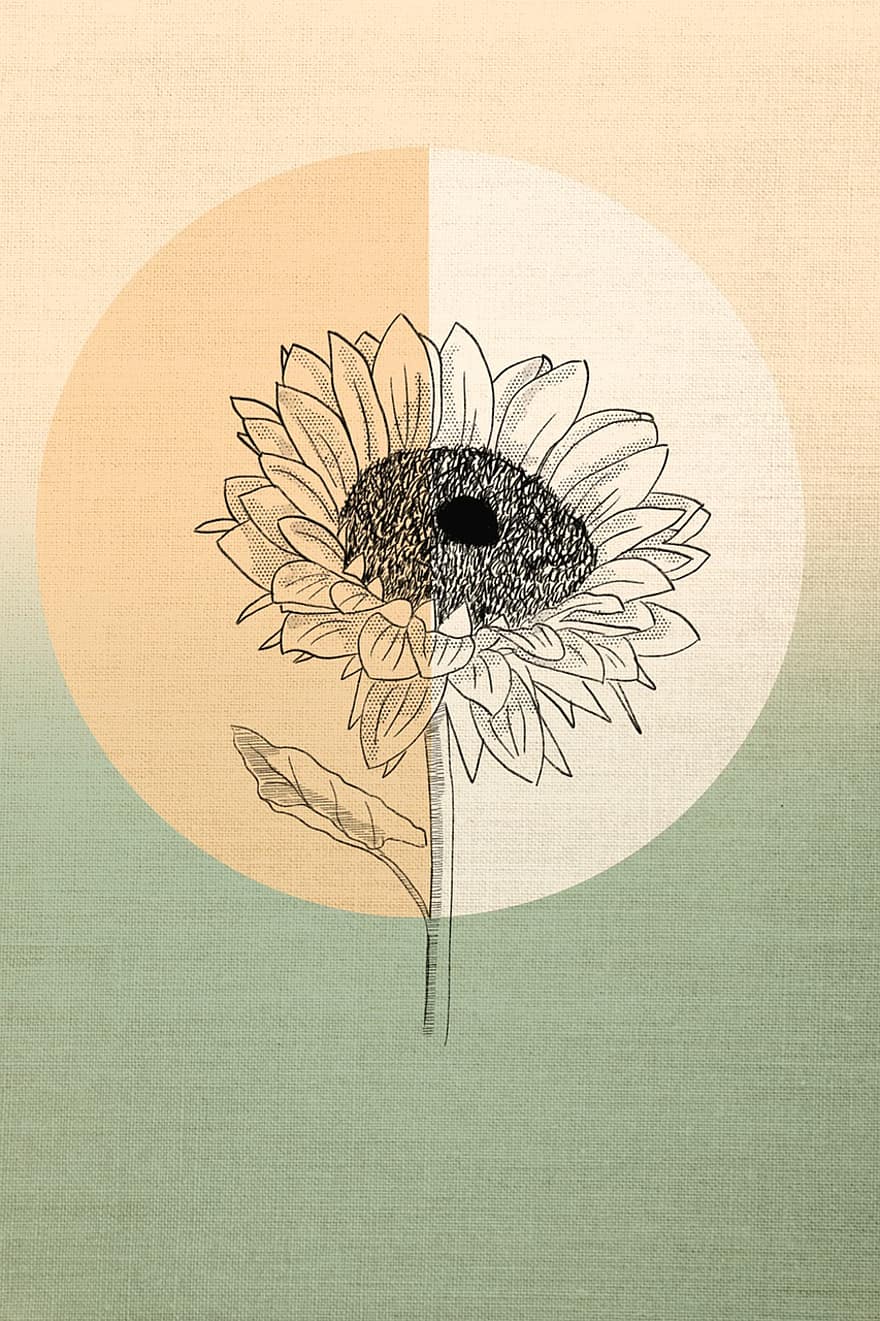 bunga matahari, gambar, Latar Belakang, Desain