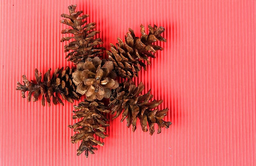 Pine Cones, Decoration, Holiday, Season, close-up, backgrounds, winter, celebration, pine cone, gift, leaf