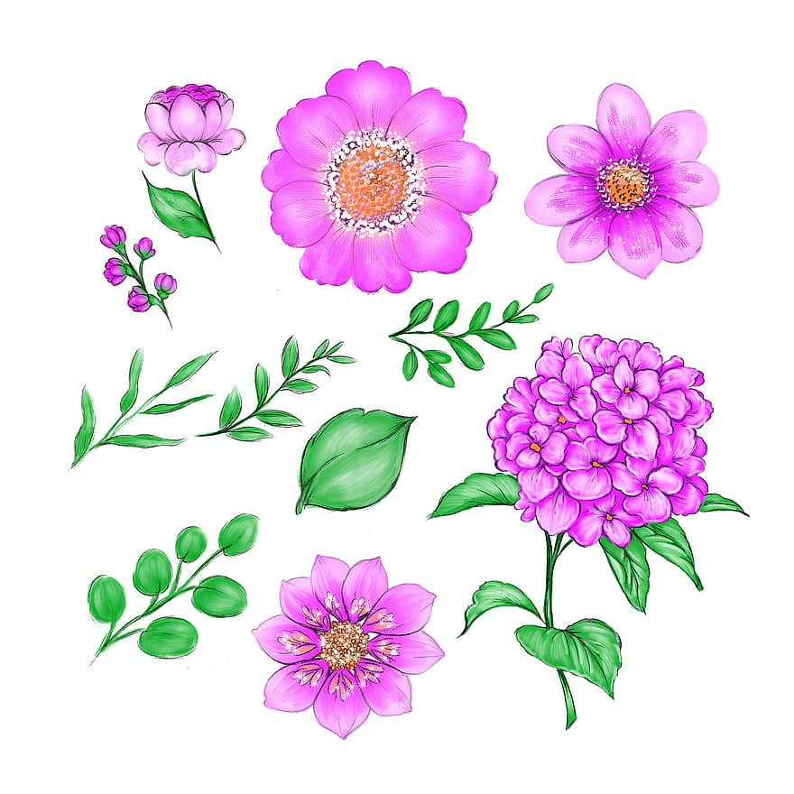 fleurs, ramos, la nature, printemps, plante, fleurir, fleur, bourgeon, fermer, jardin, illustration