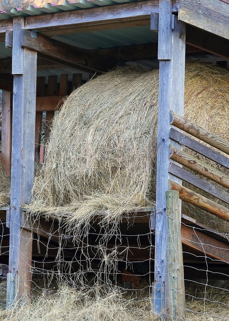 Hay, Hay Bales, Animal Feed, Agriculture
