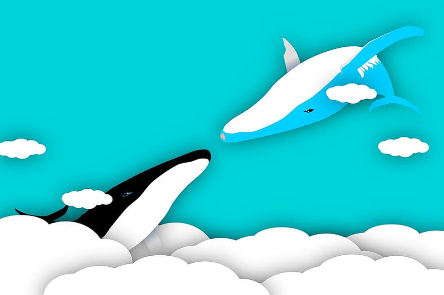 Whales, Sky, Clouds, White Clouds, Blue Sky, Love, Pair, Cartoon, Drawing, illustration, vector