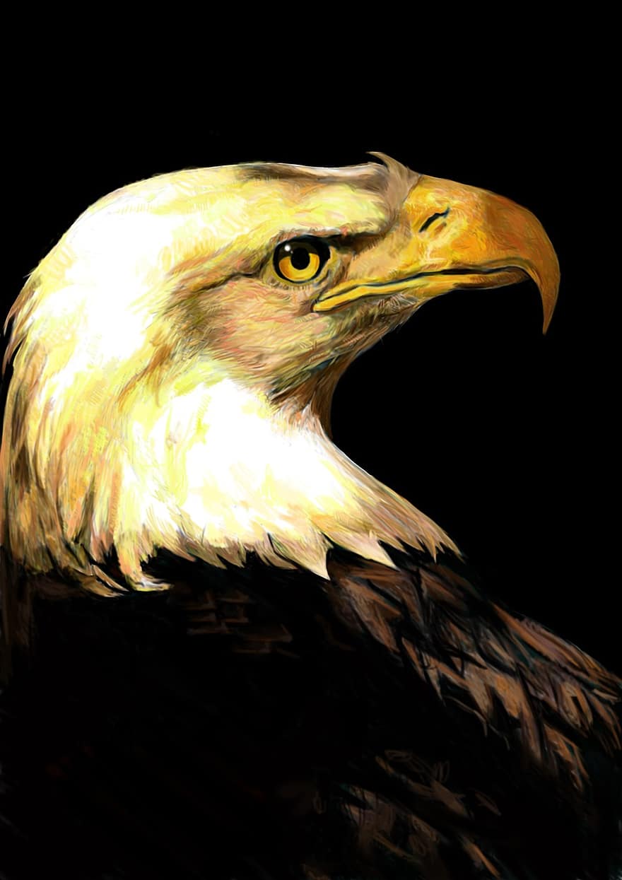 Eagle, Plate-painted