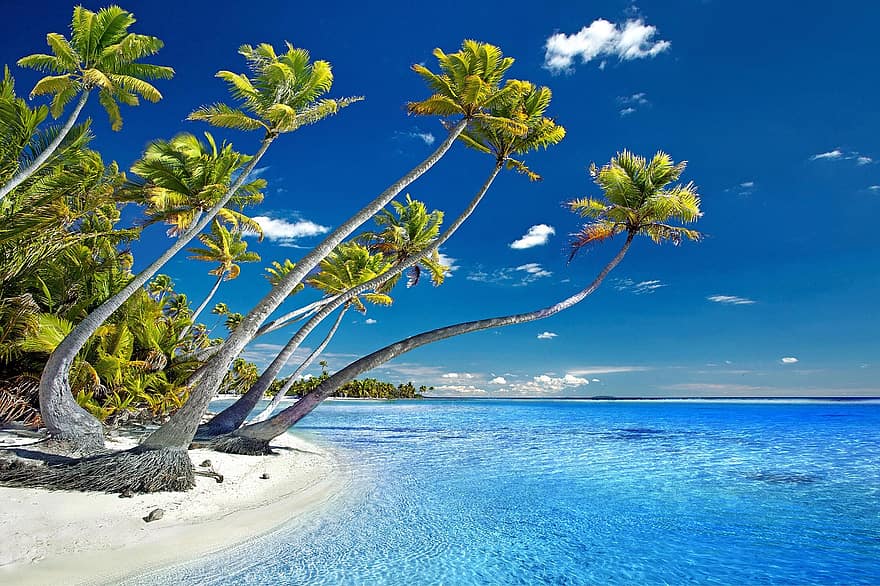 øy, tropisk, hav, Strand, paradis, mål, utendørs, sommer, ferie, palmer, reise