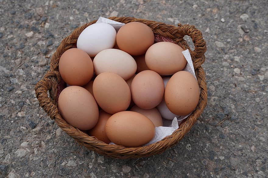 яйця, білка, кошик, десяток, харчування, їжа, свіжість, ферми, органічні, яйце тварини, впритул