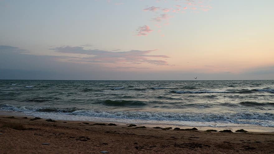 hav, Azovska havet, soluppgång, horisont, himmel, bakgrund, marinmålning, vågor, kraschar, strand, Strand