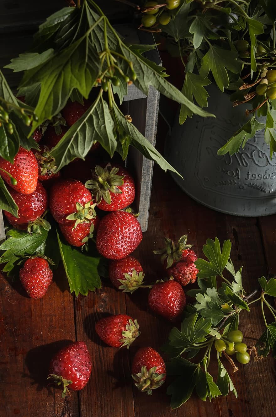 딸기, 열매, 과일, 식품, 신선한, 건강한, 익은, 본질적인, 단, 생기게 하다, 이파리
