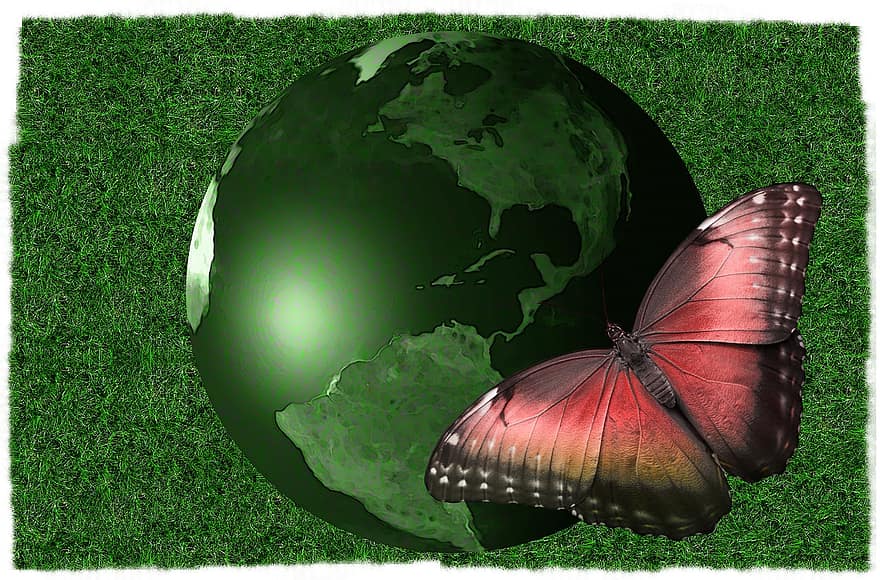 terra, globus, papallona, herba, verd, pressa, creixement, món, planeta, continents, medi ambient
