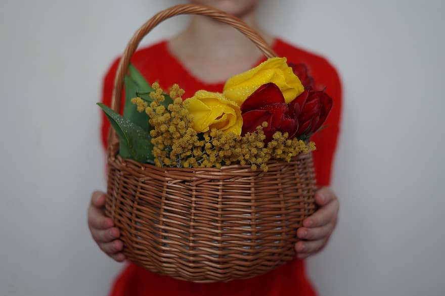 tulipanes, cesta, mimosa, amarillo, ramo de flores, flor, regalo, mujer, romance, de cerca, frescura