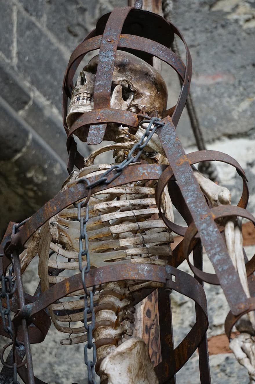 esquelet, gàbia, Estèrnum, disseny, humà, estructura, descansi en pau, os, art, anatòmica, crani