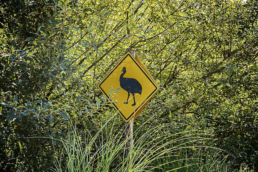 ženklas, kryptimis, paukščių parkas, Villars Les Dombes, geltona, žolė, medis, gyvūnams, įspėjamasis ženklas, simbolis, nėra žmonių