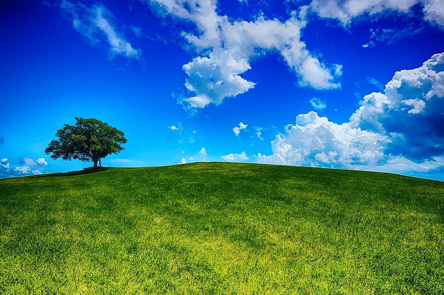 wzgórze, drzewo, krajobraz, Natura, niebo, niebieski, Chmura, sceniczny, lato, niebieskie niebo, niebieskie drzewo