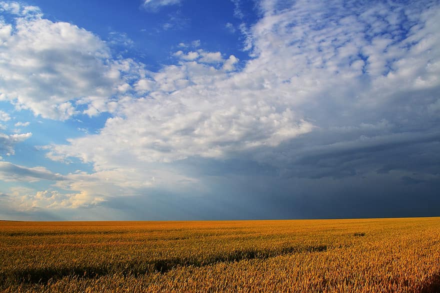 небе, поле, природа, селски, околност, селска сцена, лято, селско стопанство, пейзаж, син, облак