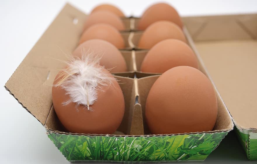 ovo, ovos orgânicos, caixa de ovos, placa de ovo, caixa de ovo, 10 ovos, ovos de galinha, comer, fresco, saudável, pena