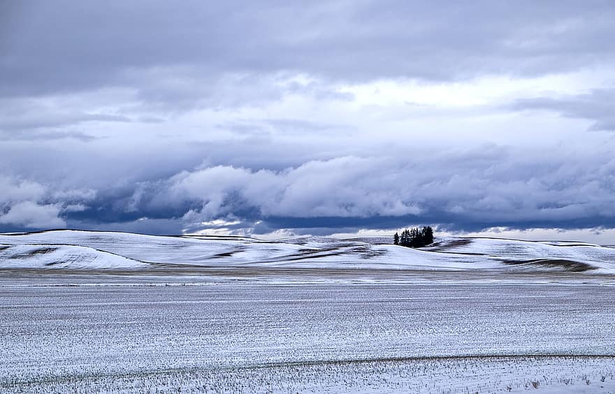 農地、冬、雪、嵐の、アイダホ
