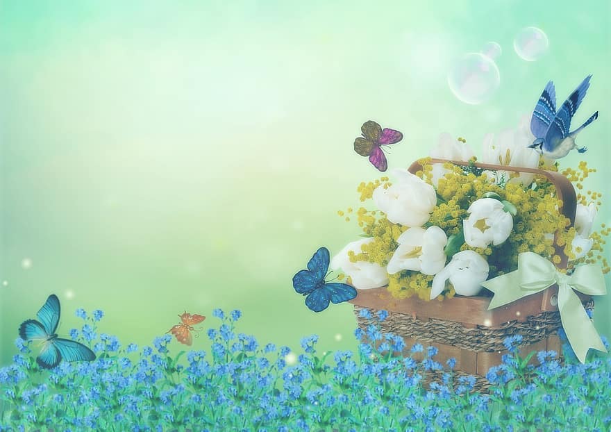 bloemen, de lente, vlinders, vogel, tulpen, kopie ruimte, dromerig, zonlicht, bloemenweide, achtergrond afbeelding, mand