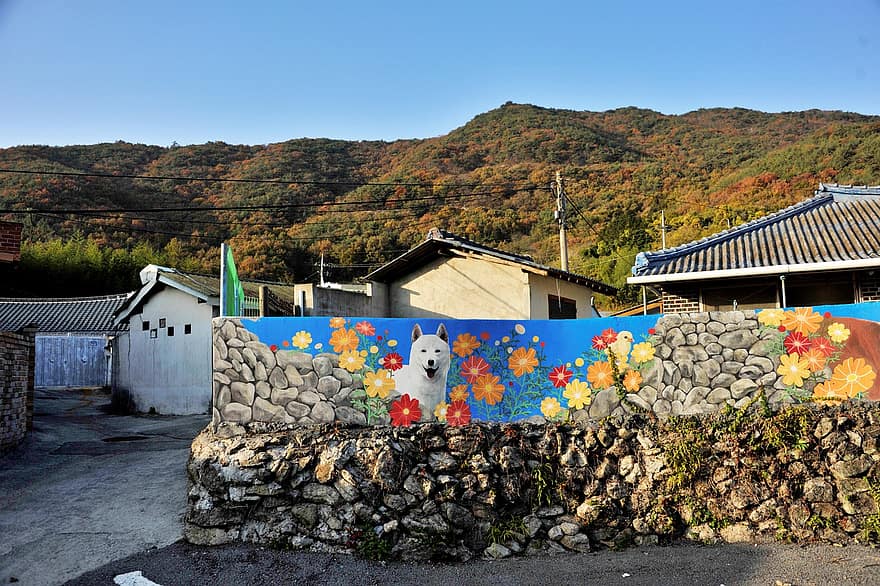 タウン、ペインティング、壁画、珍島犬、犬、高興、大韓民国、家
