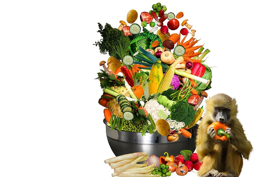 Яжте, здраве, хранене, закуска на шведска маса, витамини, храна, плодове, зеленчуци, маймуна, поздравителна картичка, червен пипер