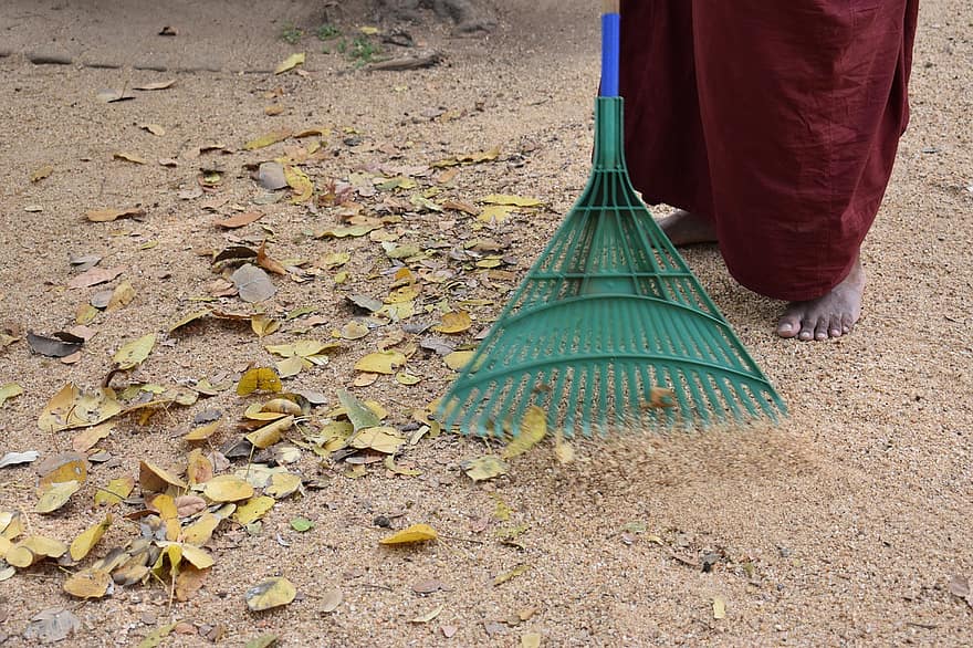 Monk, Temple, Clean, Sweep, Buddhism, Buddhist, Sri Lanka, Sweeping