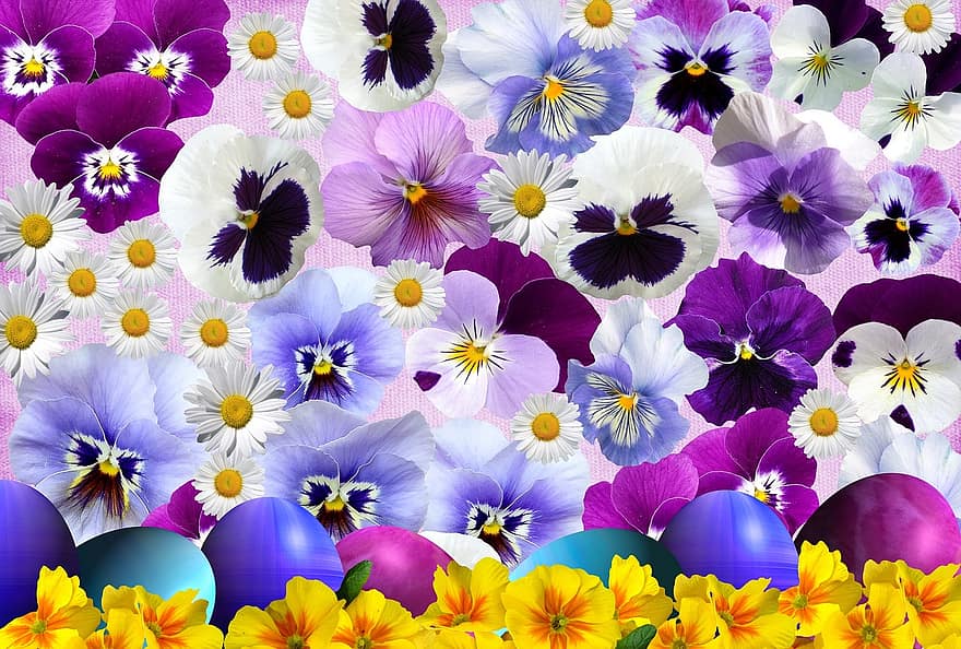 Pasen, ei, gelukkig Pasen, paasgroet, Paas eieren, de lente, seizoen, viooltje, natuur, bloemen, tuin-