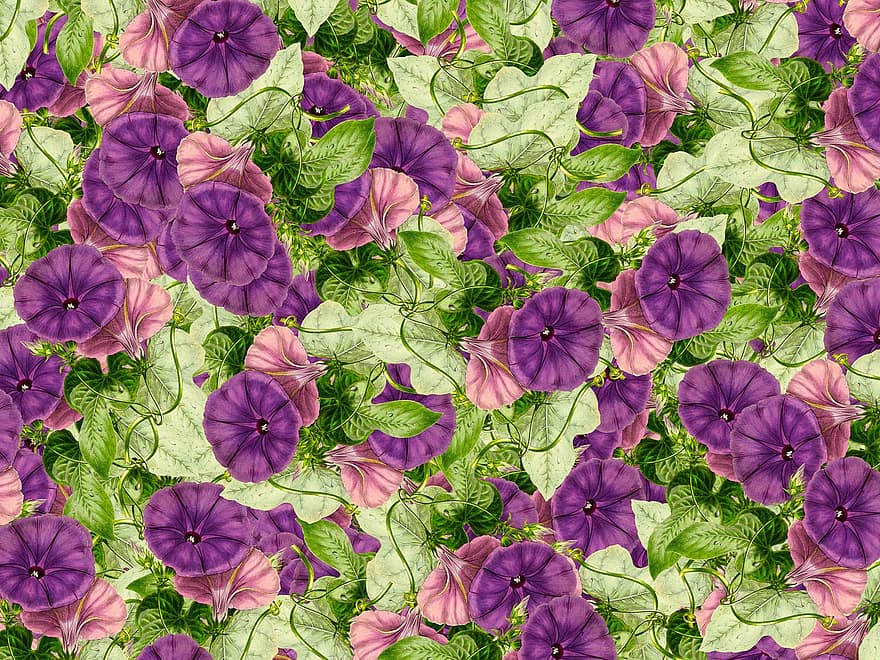 florale achtergrond, Tuin Achtergrond, achtergrond, patroon, scrapbooking, behang