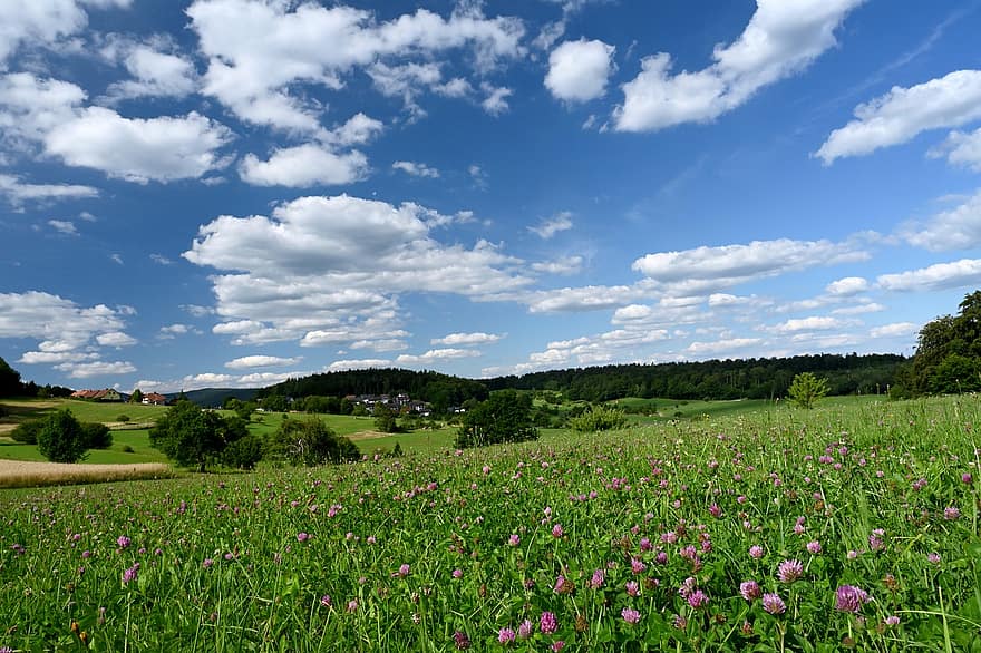 Landscape, Sky, Field, Grass, Meadow, Northern Black Forest, Clouds, Holidays