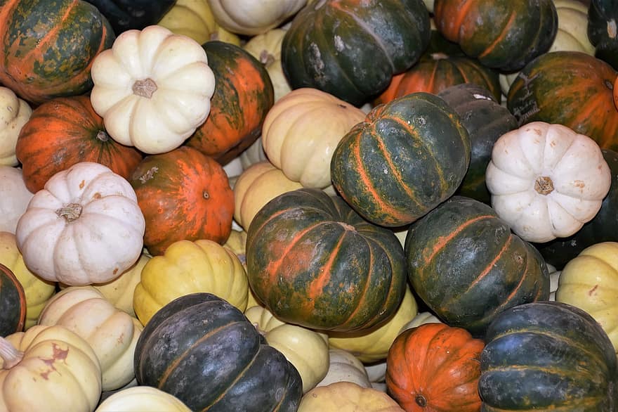 labu, panen, jatuh, musim gugur, halloween, Oktober, sayur-mayur, pertanian, musim, dekorasi, multi-warna