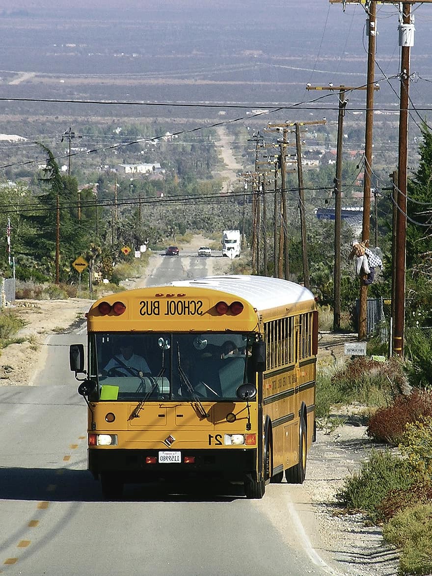 autobusas, mokykloje, transporto priemonė, mokyklinis autobusas, transporto, transportavimas, geltonas autobusas, kelias, eismas, gatvė, švietimas