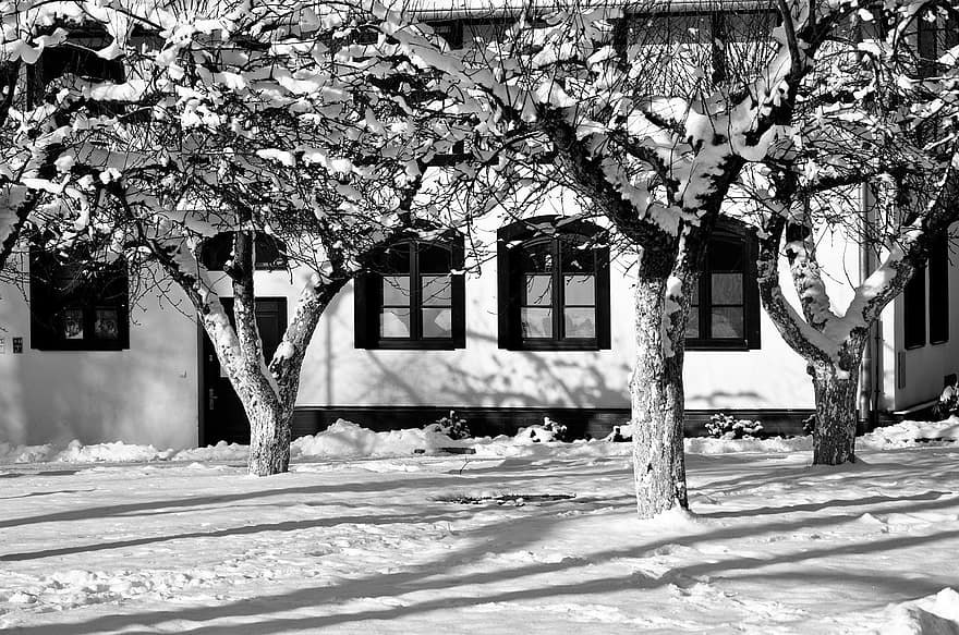 inverno, Casa, alberi, natura, la neve, albero, bianco e nero, architettura, ramo, stagione, giorno