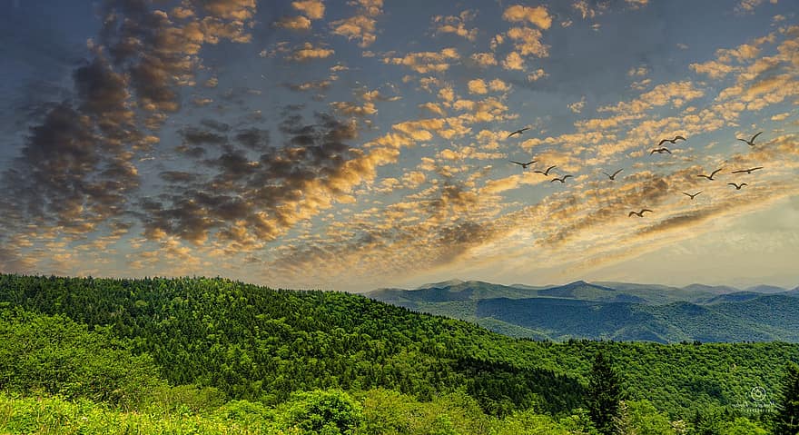 Blue Ridge Ridge, le coucher du soleil, les montagnes, des arbres, la nature, paysage, crépuscule, crête bleue, Montagne, nuage, ciel