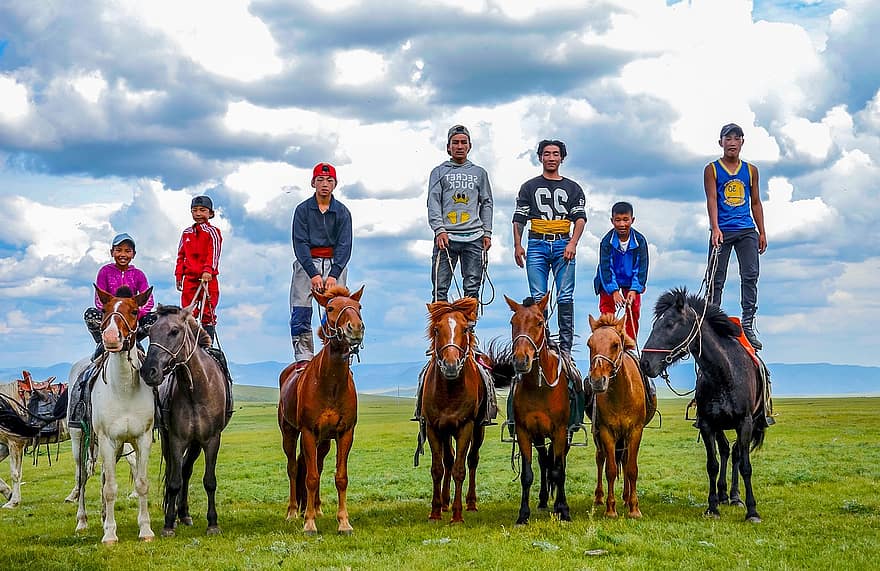 mongoliet, ryttare, hästar, häst, sport, män, bruka, landsbygden scen, grupp människor, konkurrens, sommar