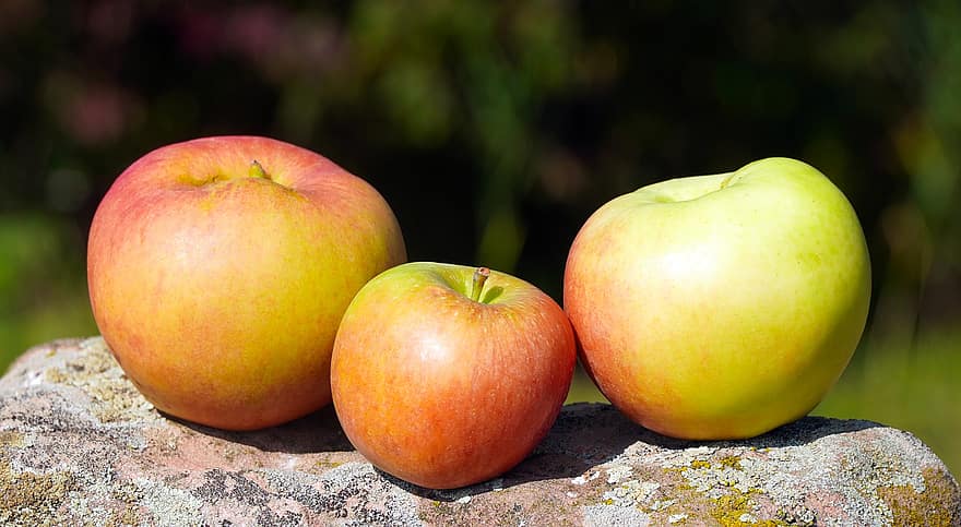 manzanas, frutas, Fresco, Produce, cosecha, orgánico, manzanas frescas, frutas frescas, comida