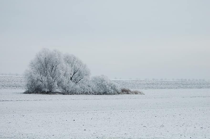 зима, снег, пейзаж, поле, снежно, холодно, тяжелый иней, сельская местность
