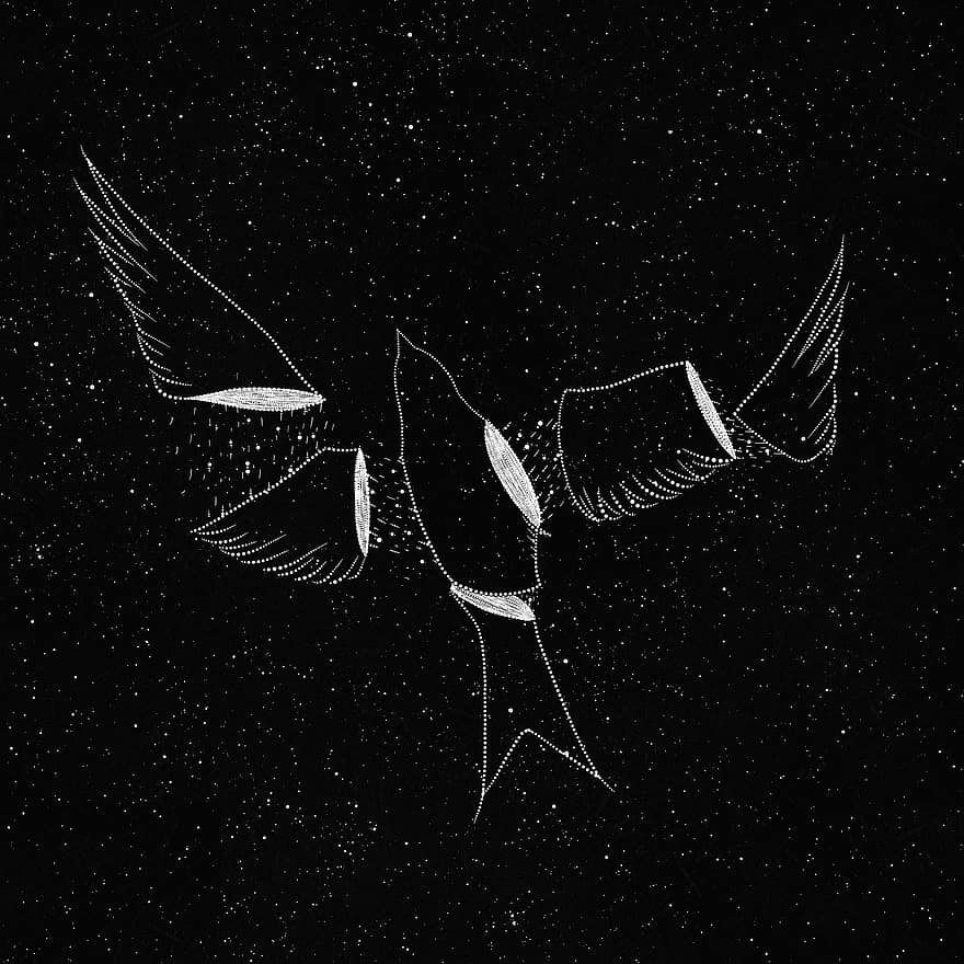 putns, spārni, gabali, zvaigznes, zvaigžņots, Visumu, galaktika, naktī, sirreāls, karikatūra, glezna