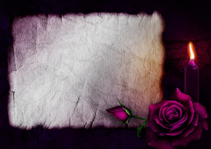 gotisch, Rose, Kerze, Papier-, Liebe, Romantik, Hintergrund, Sammelalbum, edel, violett, Rosenblüte
